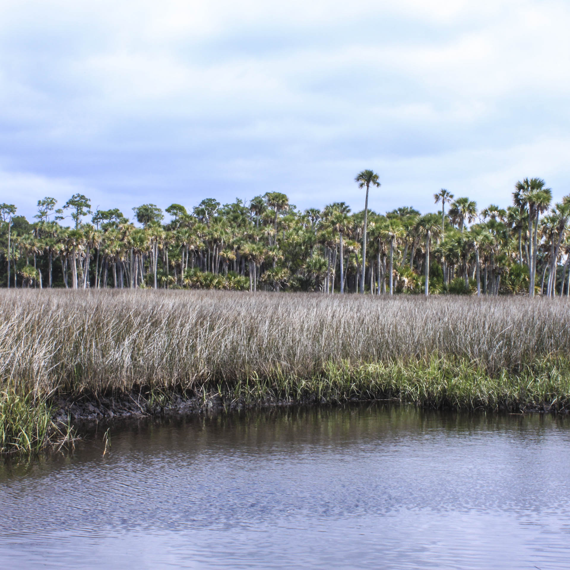 Wildlands Conservation Intern in the Field