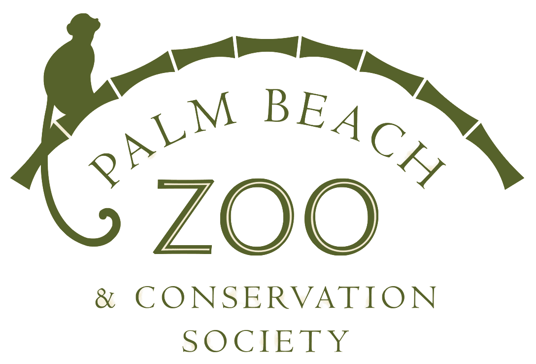 pasted_pbz_logo Palm Beach Zoo Logo