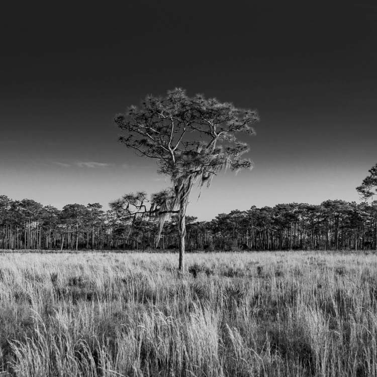 Wildlands Conservation Intern in the Field