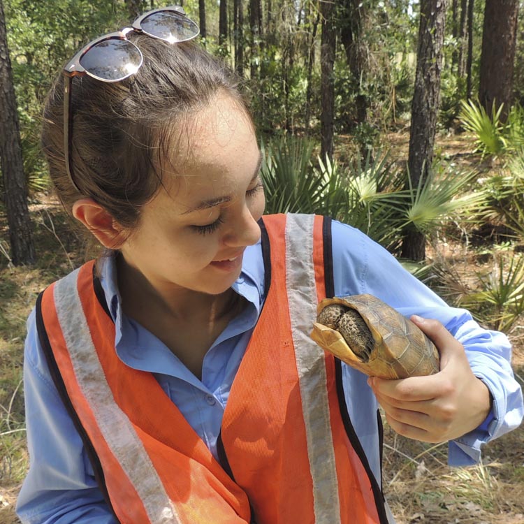 Wildlands Conservation Intern in the Field
