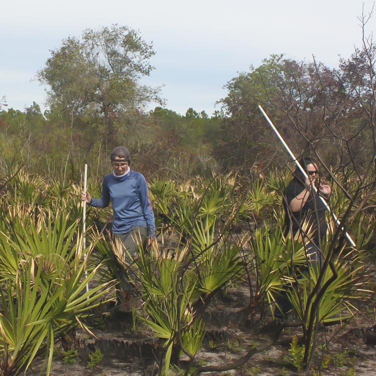 Gopher Tortoise Training Class